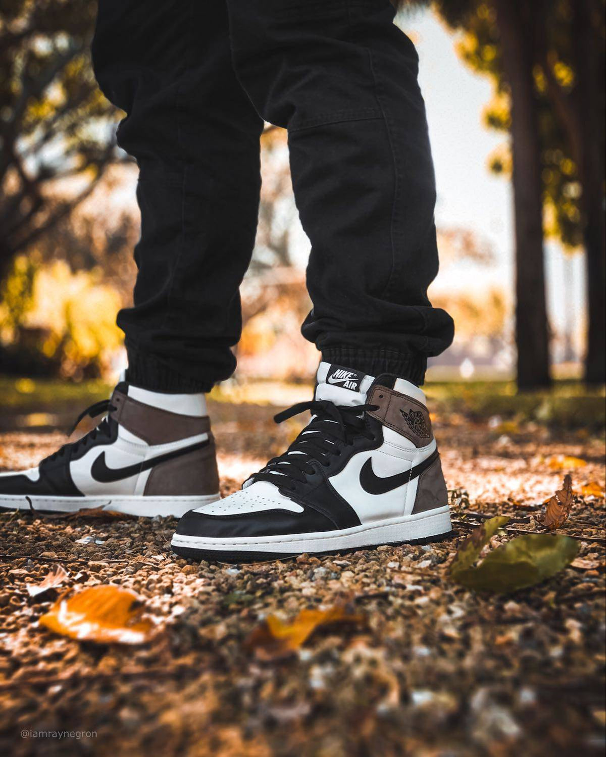 Air Jordan 1 High &#39;Mocha&#39;